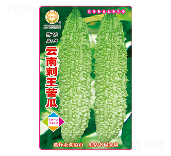 苦瓜種子-云南刺王苦瓜-太樂種業(yè)