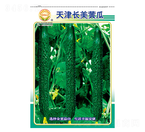 黃瓜種子-天津長美黃瓜-太樂種業(yè)