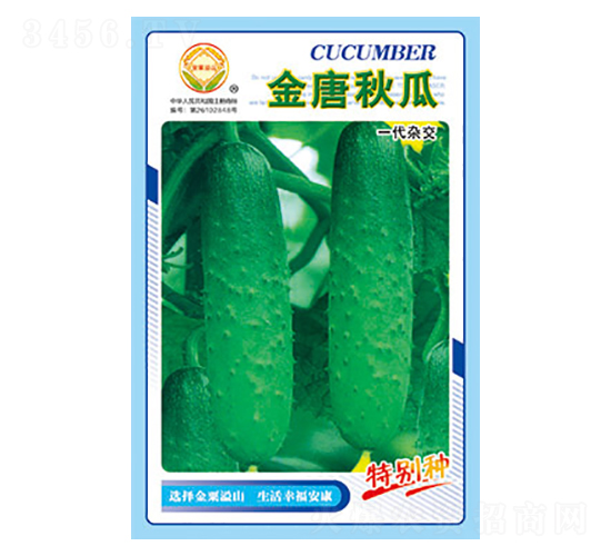 �S�ϷN��-�������-̫���N�I(y��)