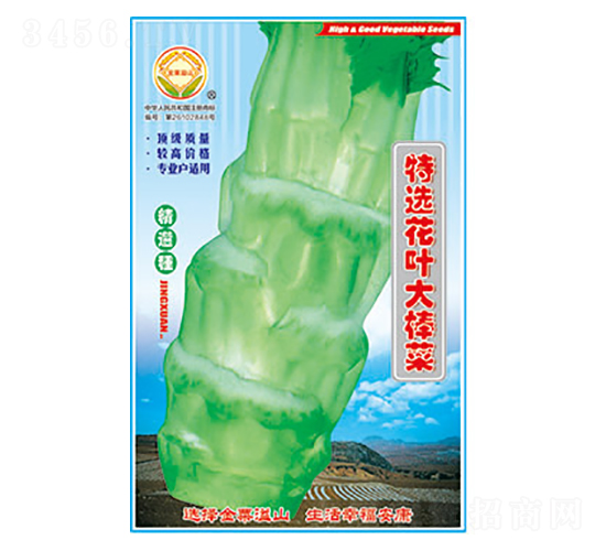 棒菜種子-特選花葉大棒菜-太樂種業(yè)
