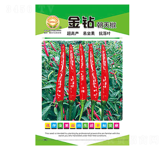 辣椒種子-金鉆朝天椒-太樂(lè)種業(yè)