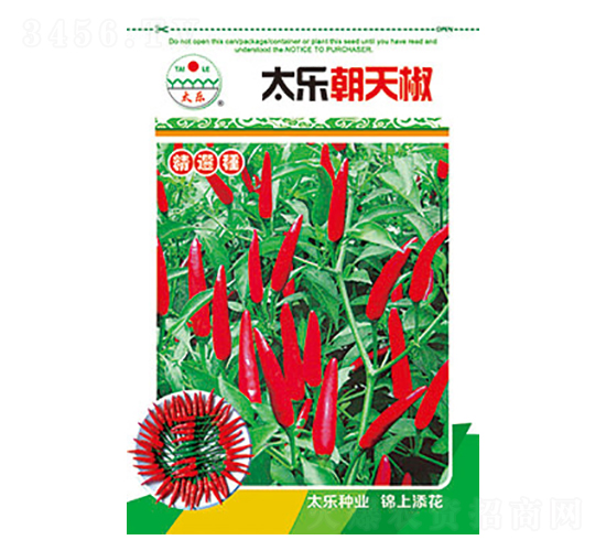 辣椒種子-太樂朝天椒-太樂種業(yè)