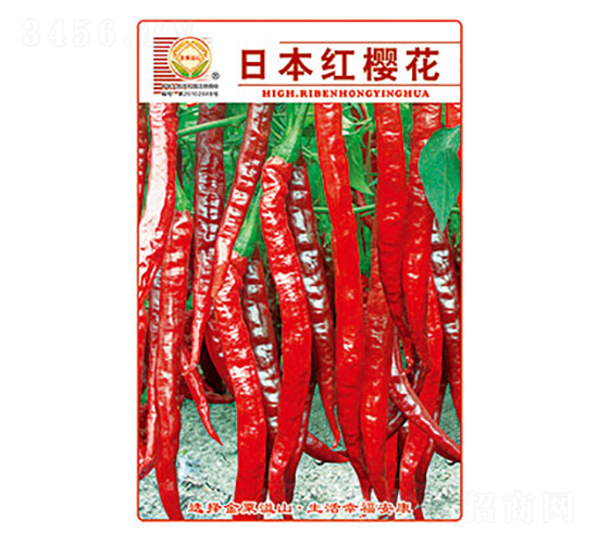 辣椒種子-日本紅櫻花-太樂種業(yè)