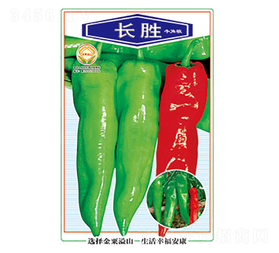 辣椒種子-長勝-太樂種業(yè)