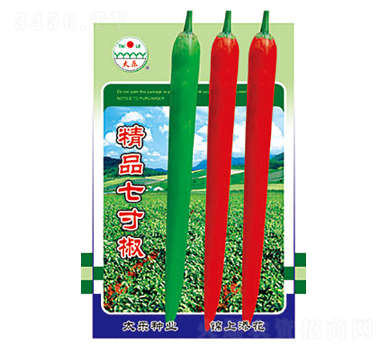 辣椒種子-精品七寸椒-太樂(lè)種業(yè)