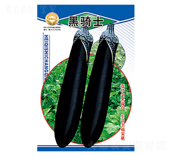 茄子種子-黑騎士-太樂種業(yè)
