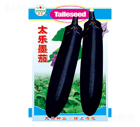 茄子種子-太樂(lè)墨茄-太樂(lè)種業(yè)