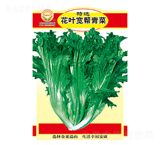 青菜種子-特選花葉寬幫青菜-太樂種業(yè)