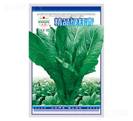 青菜種子-精品綠桿青-太樂(lè)種業(yè)