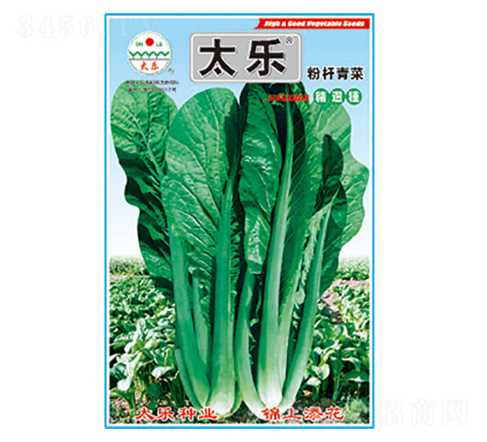 ��˷N��-�ۗU���-̫���N�I(y��)