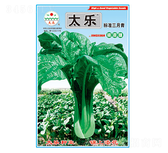 青菜種子-標(biāo)準(zhǔn)三月青-太樂種業(yè)