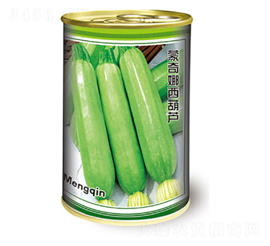 西葫蘆種子-蒙奇娜西葫蘆-太樂種業(yè)