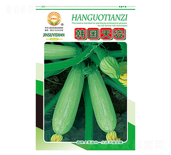 西葫蘆種子-韓國天資-太樂種業(yè)
