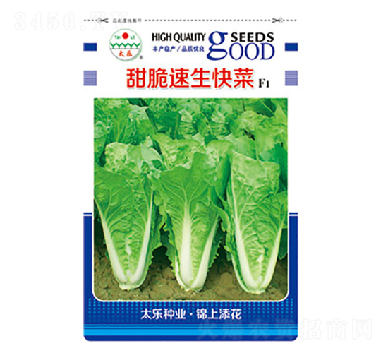 �ײ˷N��-����������-̫���N�I(y��)