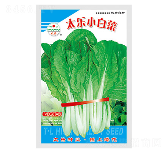 白菜種子-太樂小白菜-太樂種業(yè)
