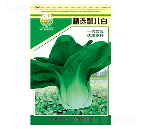 白菜種子-精選瓢兒白-太樂(lè)種業(yè)