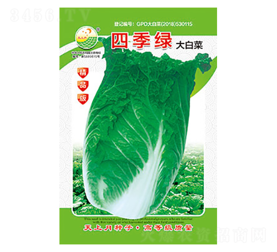 �ײ˷N��-�ļ��G-̫���N�I(y��)