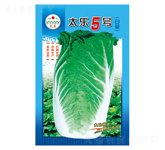 �ײ˷N��-̫��(l��)5̖(h��o)-̫��(l��)�N�I(y��)