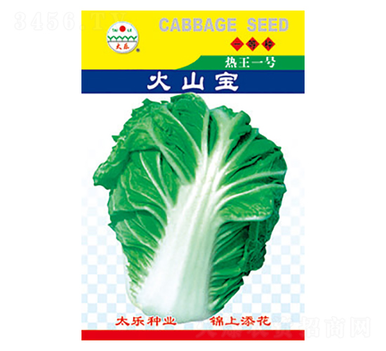 白菜種子-火山寶-太樂種業(yè)