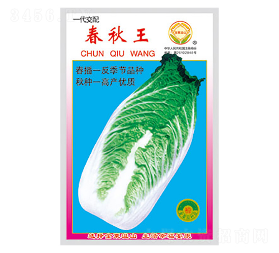 白菜種子-春秋王-太樂(lè)種業(yè)