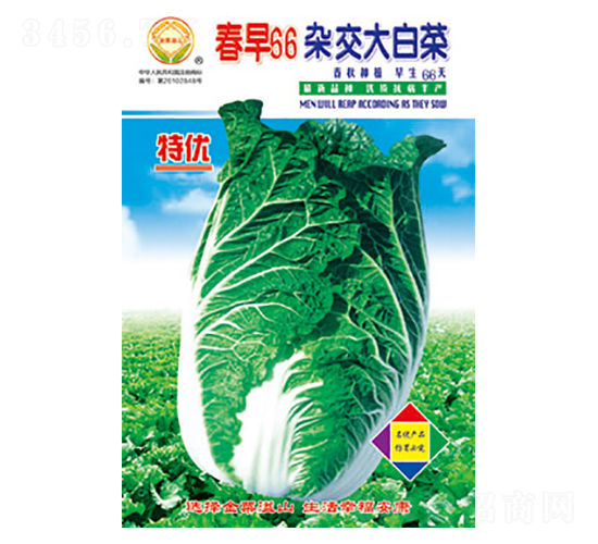 �ײ˷N��-����66-̫���N�I(y��)