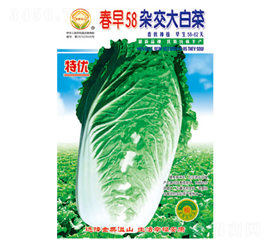 白菜種子-春早58-太樂(lè)種業(yè)