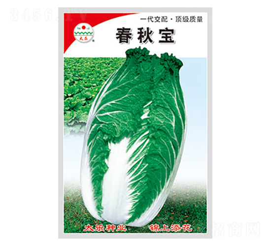 �ײ˷N��-���-̫���N�I(y��)