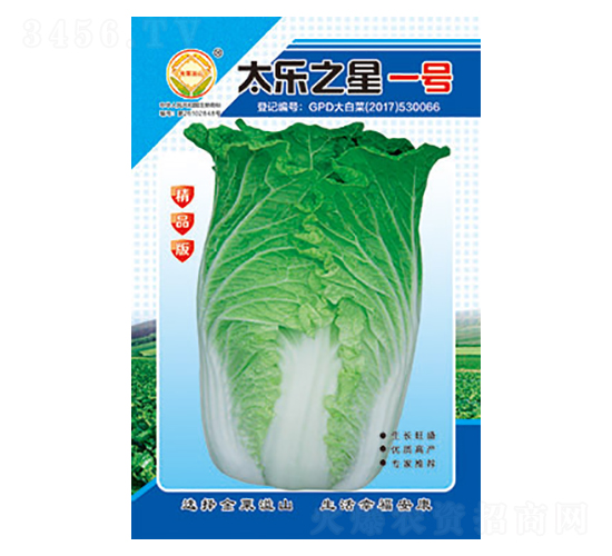 �ײ˷N��-̫��֮��һ̖(h��o)��Ʒ��-̫���N�I(y��)