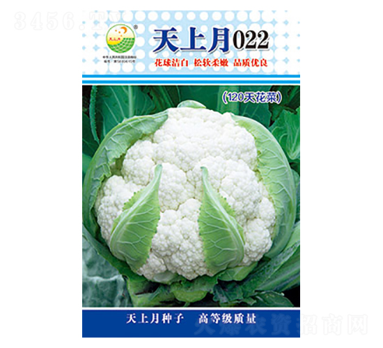 �׻�Ҭ�˷N��-������022-̫���N�I(y��)