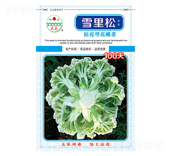 �׻�Ҭ�˷N��-ѩ����100��-̫���N�I(y��)