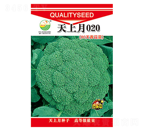 西蘭花種子-天上月020-太樂種業(yè)
