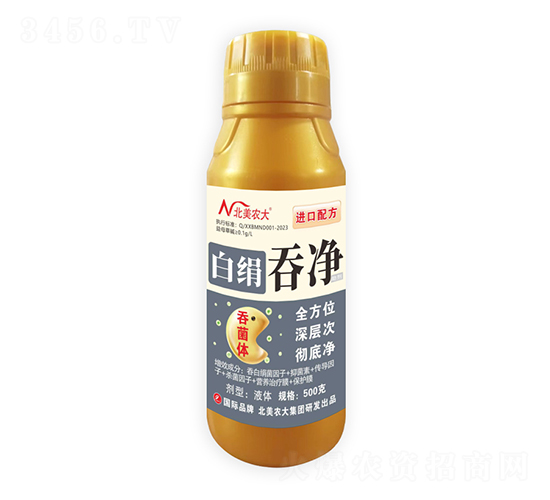 �׽��̃�-�����r��