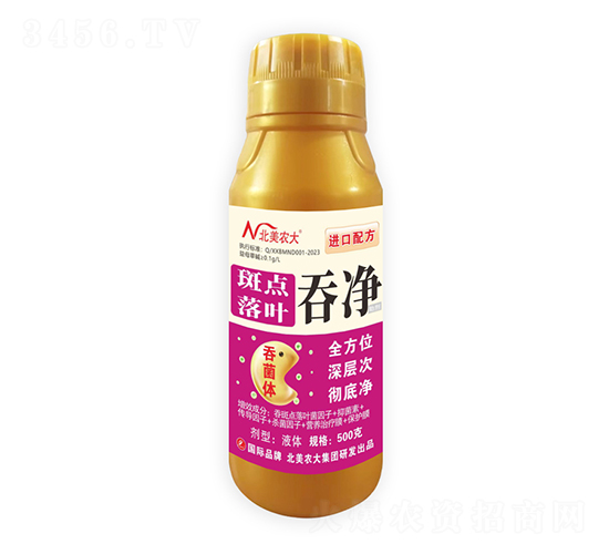 斑點(diǎn)落葉吞凈-北美農(nóng)大