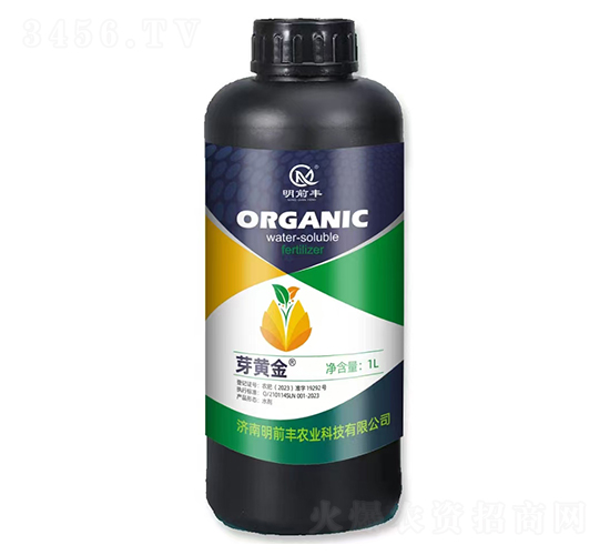 ѿ�S��-��ǰ�S