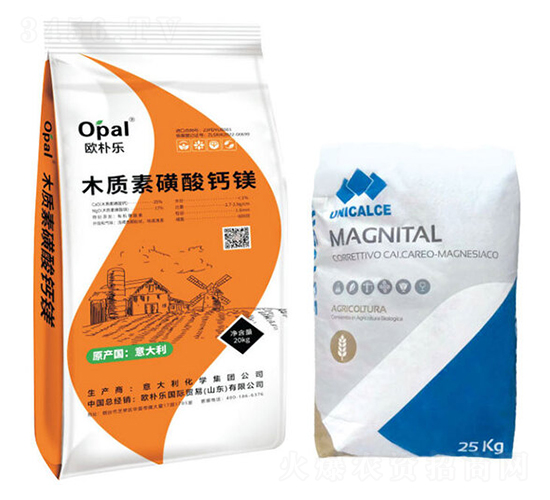 ľ�|(zh��)�ػ����}�V-�W�㘷