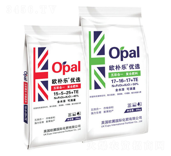 ��ʺ�һ�ͺϷ���-�W�㘷