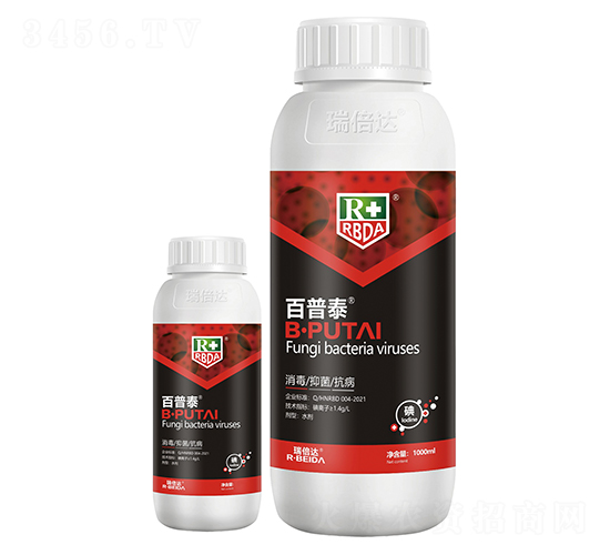 ����̩-���_