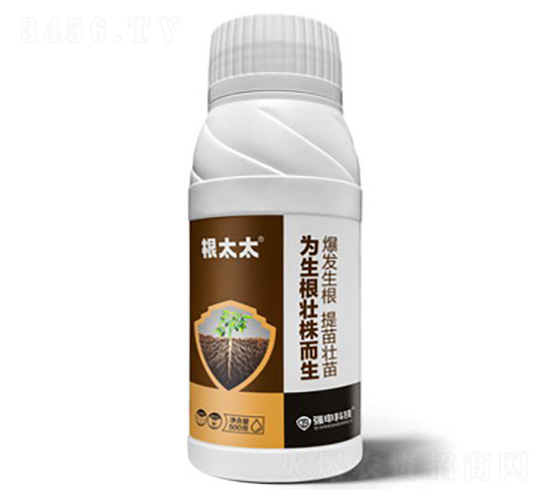 根太太·為生根壯株而生-強申科技