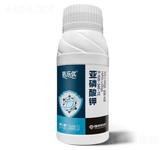 �|����(y��u)���������-����Ƽ�