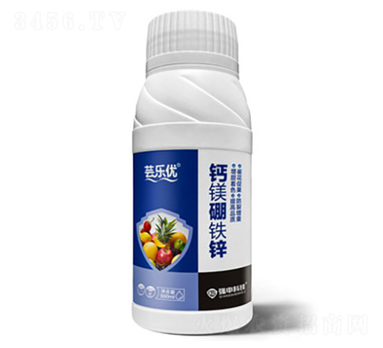 �|����(y��u)���}�V���F�\-����Ƽ�