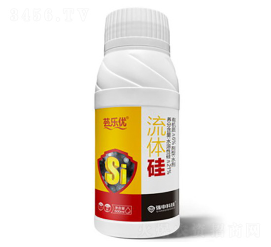 �|����(y��u)�����w��-����Ƽ�