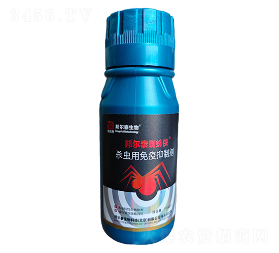 ���x���������Ƅ�-�̩֩��b-�̩