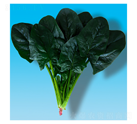 ���˷N��-孲�012-�A孷N�I(y��)