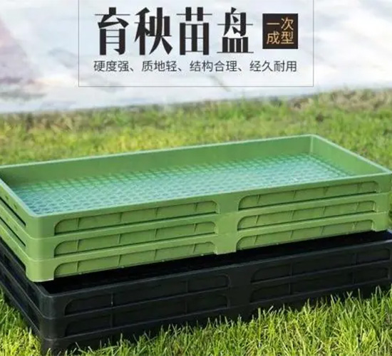 育苗秧盤-輝遠(yuǎn)科技