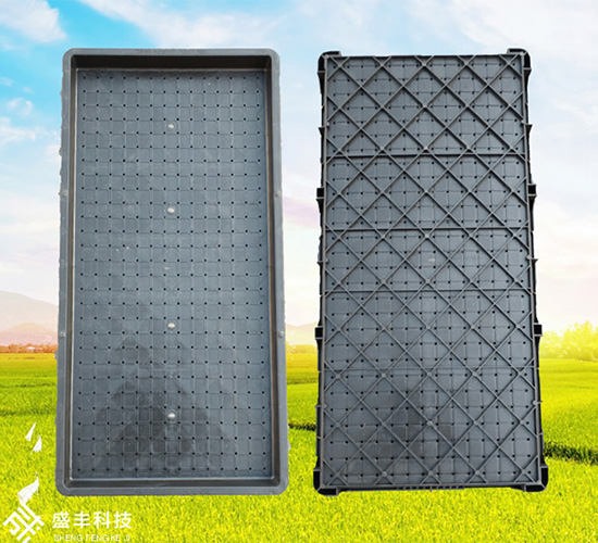 9寸普黑秧苗盤-盛豐農(nóng)機