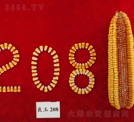 ����208-���׷N��-�Ǻ�����N�I(y��)