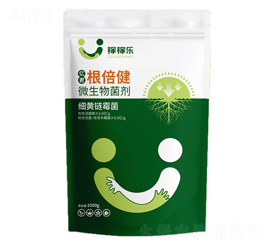 ΢�������-�|��������-�ڼژ�