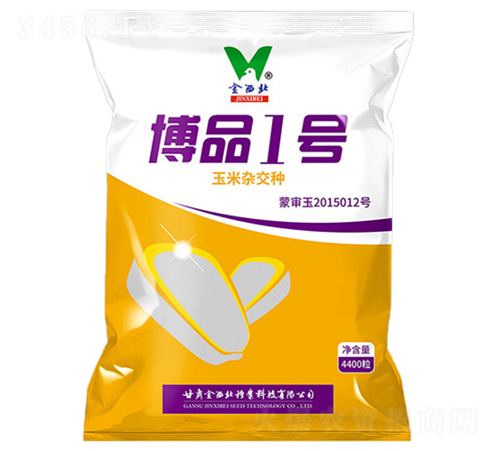 博品1號-玉米種子-金西北種業(yè)