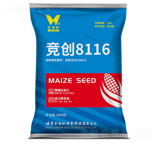 競創(chuàng)8116-玉米種子-金西北種業(yè)
