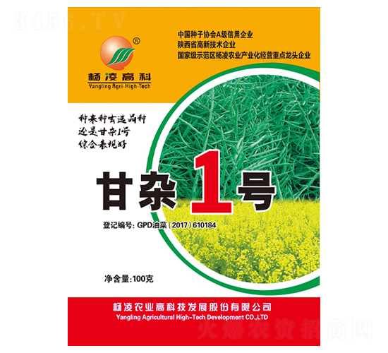 甘雜1號-油菜種子-秦豐種業(yè)